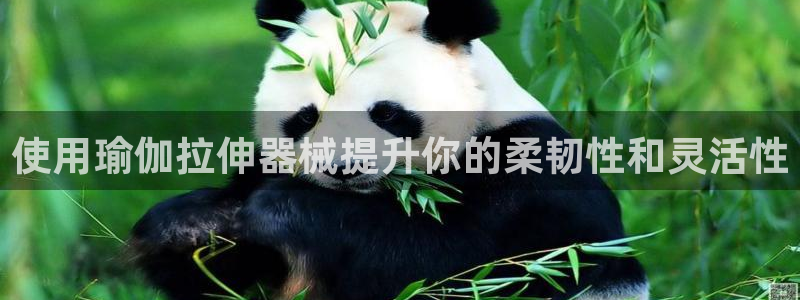 尊龙凯时一人生就是博登入：使用瑜伽拉伸器械提升你的柔