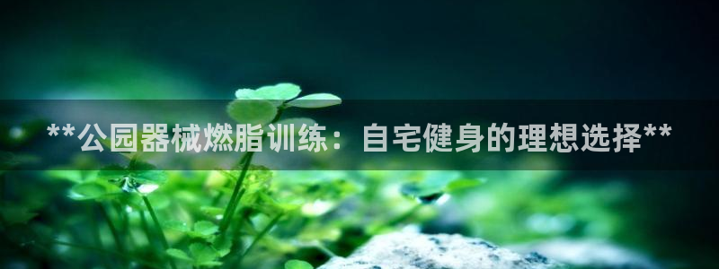 尊龙是什么软件：**公园器械燃脂训练：自宅健身的理想