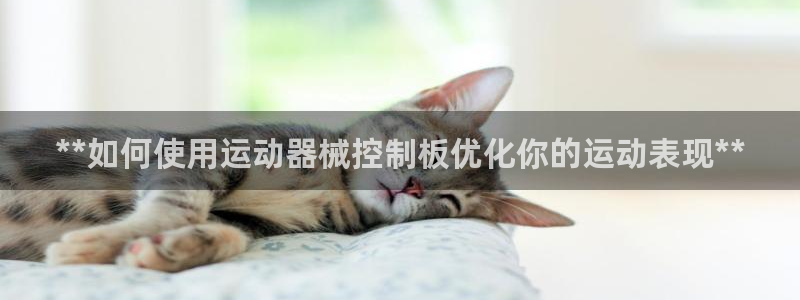 尊龙凯时网站是什么地方人开的：**如何使用运动器械控