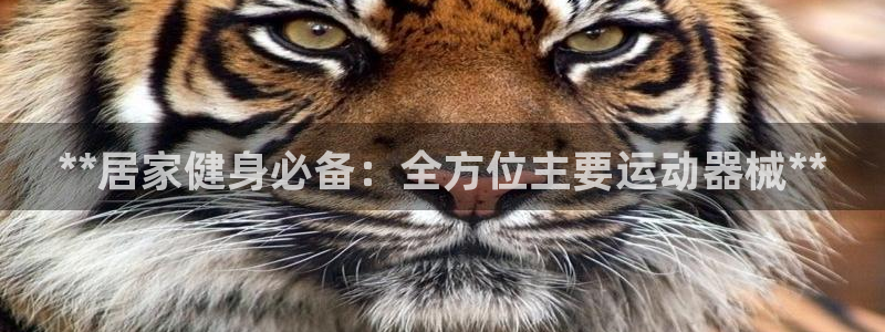 尊龙人生就是博ag旗舰厅：**居家健身必备：全方位主