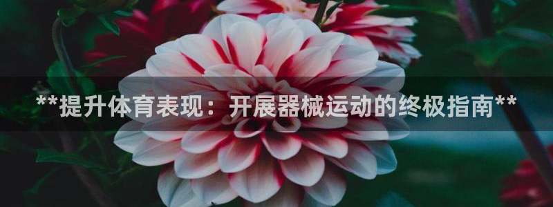 尊龙凯时网