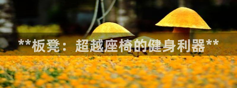 凯时官网：**板凳：超越座椅的健身利器**