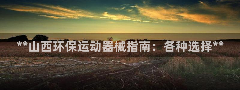 尊龙凯时集团：**山西环保运动器械指南：各种选择**