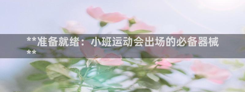 尊龙凯时几百万怎么下款：**准备就绪：小班运动会出场