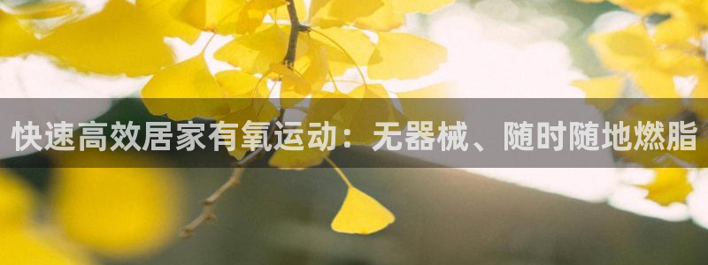 尊龙凯时城娱乐：快速高效居家有氧运动：无器械、随时随