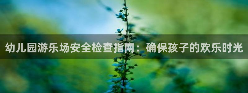 尊龙-人生就是博!：幼儿园游乐场安全检查指南：确保孩