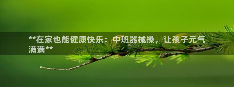 尊龙凯时家居是品牌吗：**在家也能健康快乐：中班器械