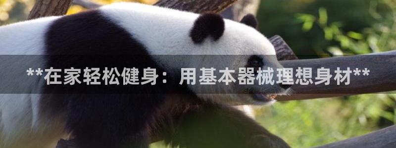 尊龙实业：**在家轻松健身：用基本器械理想身材**