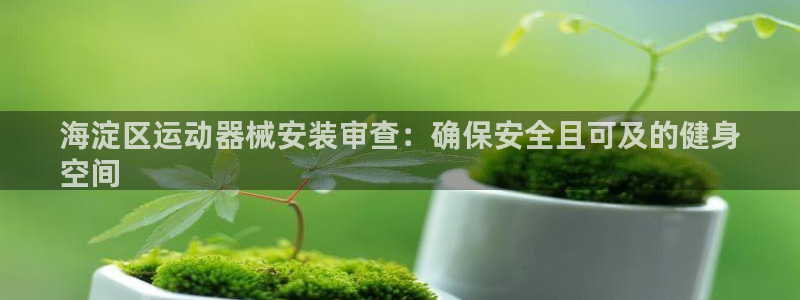 尊龙内地：海淀区运动器械安装审查：确保安全且可及的健