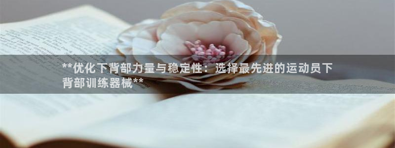 尊龙人生就是博菲律宾台子：**优化下背部力量与稳定性