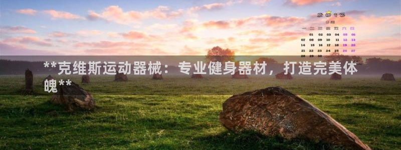 尊龙 5：**克维斯运动器械：专业健身器材，打造完美