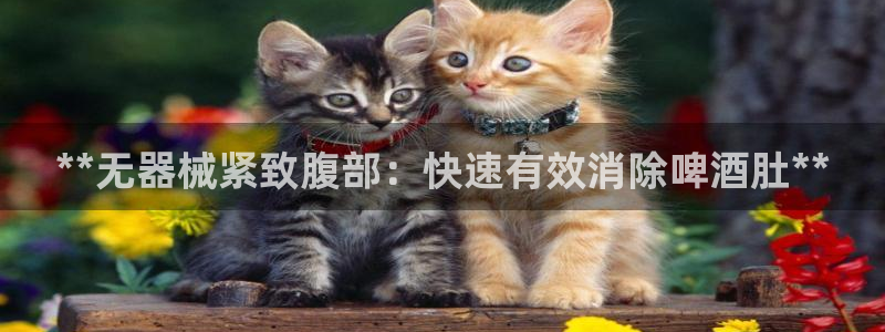 尊龙AG旗舰厅官网：**无器械紧致腹部：快速有效消除