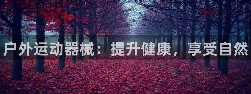 尊龙凯时的生产设备：户外运动器械：提升健康，享受自然