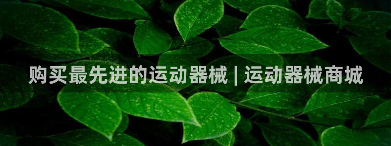 d88尊龙z6：购买最先进的运动器械 | 运动器械商