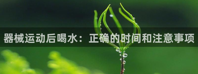 尊龙新版官网网页版