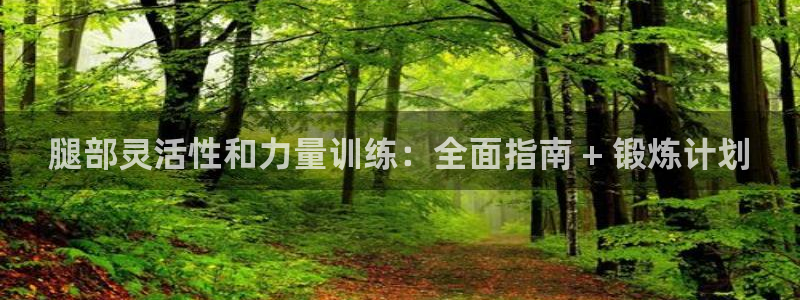 尊龙凯时充值不到账：腿部灵活性和力量训练：全面指南 