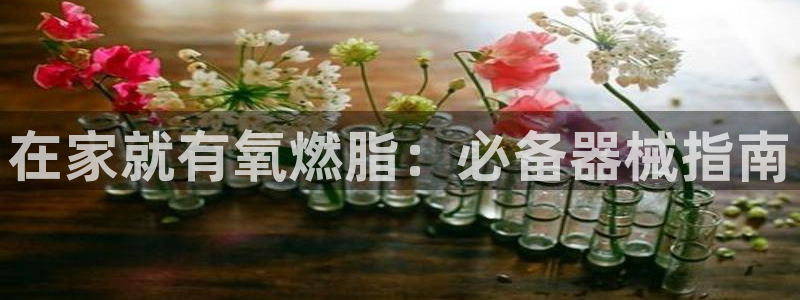 尊龙凯时怎么注销账号：在家就有氧燃脂：必备器械指南
