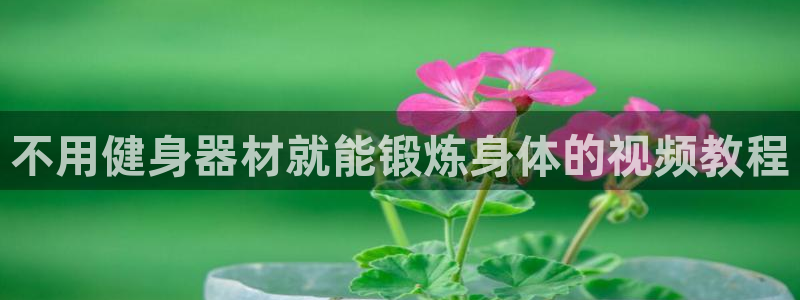 尊龙凯时能做退米么：不用健身器材就能锻炼身体的视频教