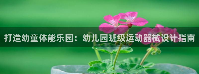 尊龙Ag：打造幼童体能乐园：幼儿园班级运动器械设计指