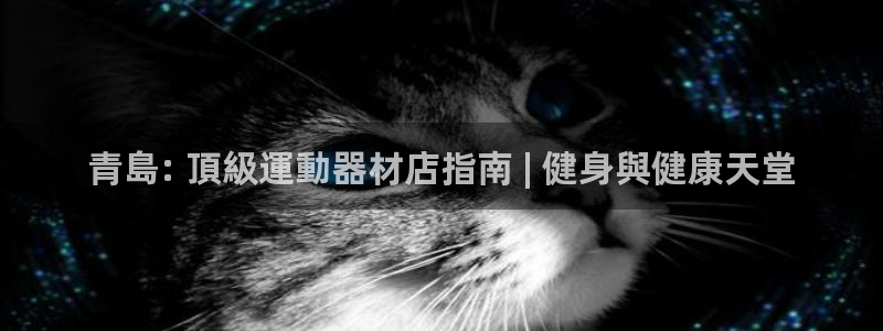 旧版尊龙人生就是博下载：青島: 頂級運動器材店指南 