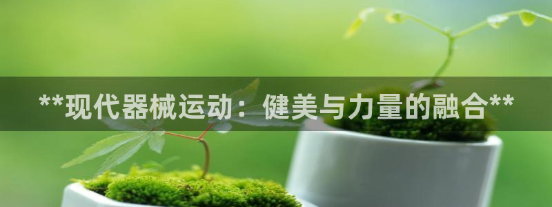尊龙t600怎么样：**现代器械运动：健美与力量的融
