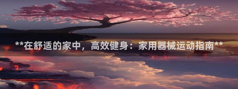 ag尊龙怎么样：**在舒适的家中，高效健身：家用器械