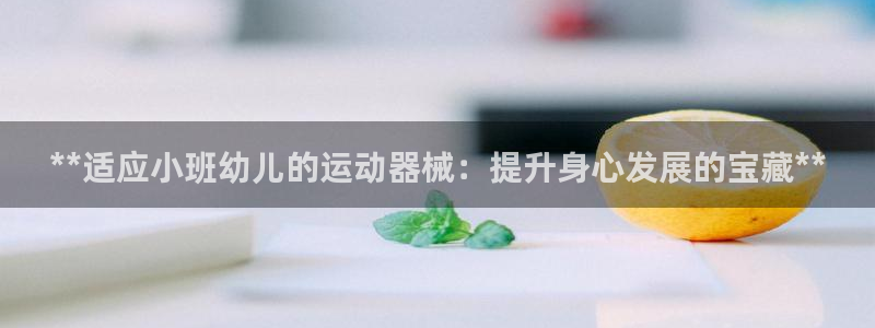 尊龙人生就是博下载：**适应小班幼儿的运动器械：提升