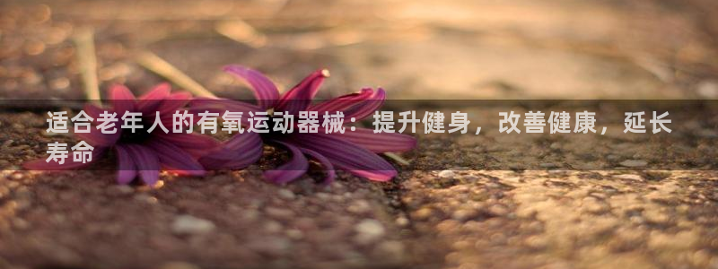 凯时国际网站域名：适合老年人的有氧运动器械：提升健身