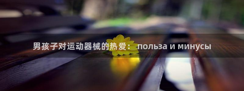 尊龙凯时 - 人生就是搏手机登录：男孩子对运动器械的