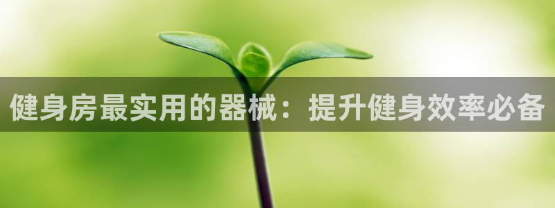 凯时国际平台有人赢吗：健身房最实用的器械：提升健身效