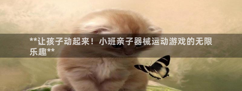 尊龙凯时有假么：**让孩子动起来！小班亲子器械运动游