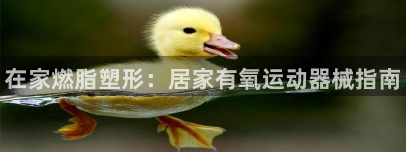尊龙内地：在家燃脂塑形：居家有氧运动器械指南