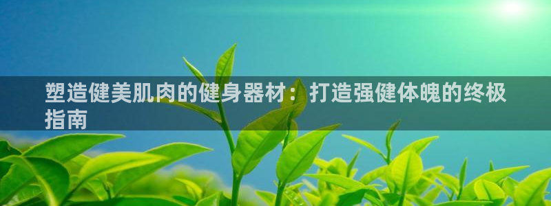 尊龙官方APP下载：塑造健美肌肉的健身器材：打造强健