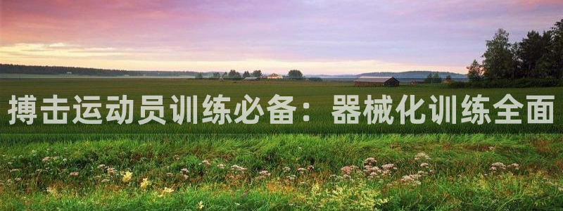 尊龙凯时提不了款：搏击运动员训练必备：器械化训练全面
