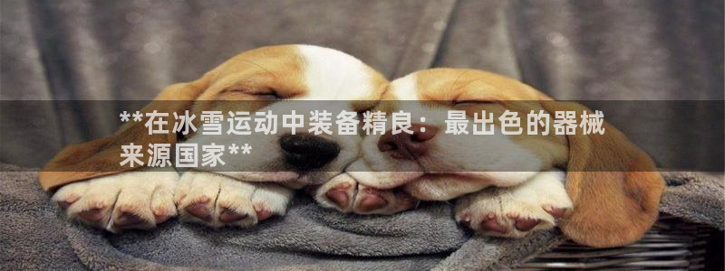 尊龙凯时开发：**在冰雪运动中装备精良：最出色的器械