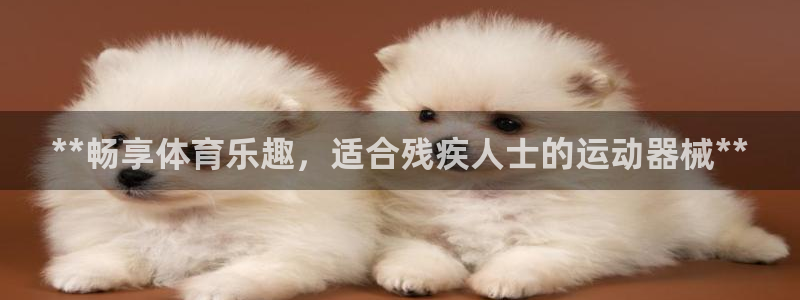 尊龙凯时ag旗舰厅官方网站：**畅享体育乐趣，适合残