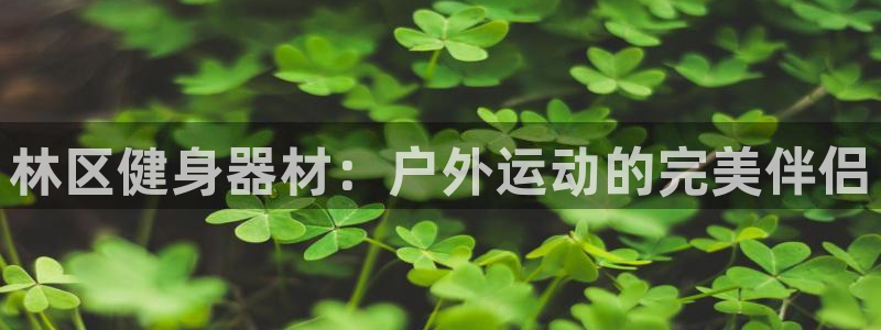 尊龙凯时登陆网址：林区健身器材：户外运动的完美伴侣