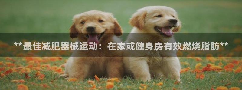下载尊龙：**最佳减肥器械运动：在家或健身房有效燃烧