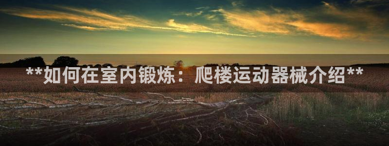 尊龙ag旗舰厅官网登录：**如何在室内锻炼：爬楼运动