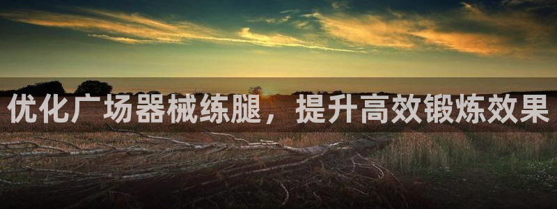 尊龙 10：优化广场器械练腿，提升高效锻炼效果