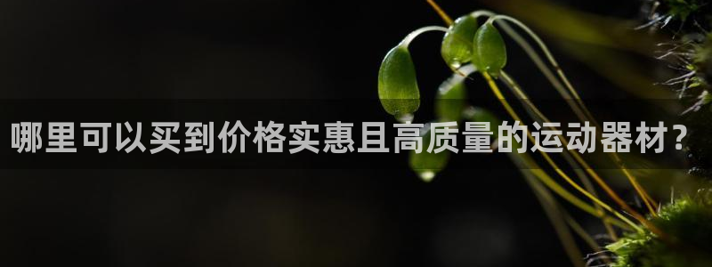 尊龙版末代皇帝：哪里可以买到价格实惠且高质量的运动器