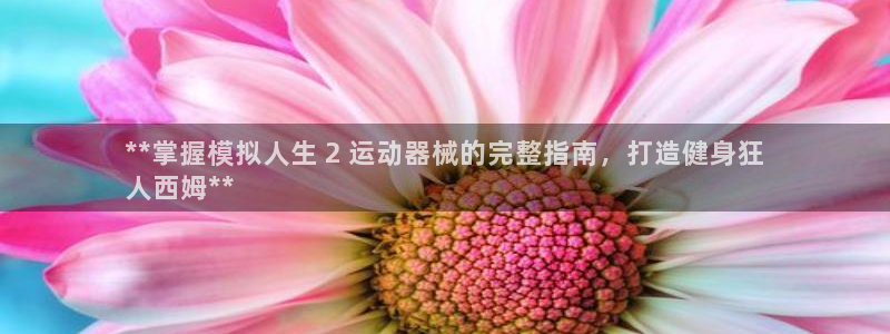 尊龙凯时登陆网址：**掌握模拟人生 2 运动器械的完