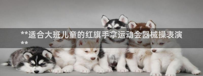 尊龙凯时老板是谁：**适合大班儿童的红旗手拿运动会器