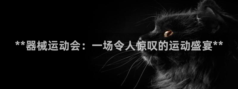 尊龙凯时官网：**器械运动会：一场令人惊叹的运动盛宴