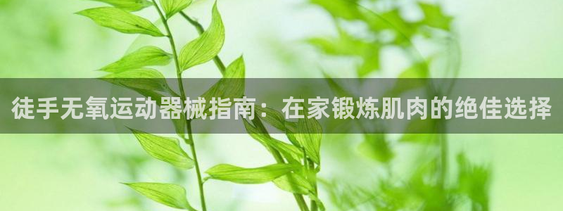 尊龙凯时电竞：徒手无氧运动器械指南：在家锻炼肌肉的绝