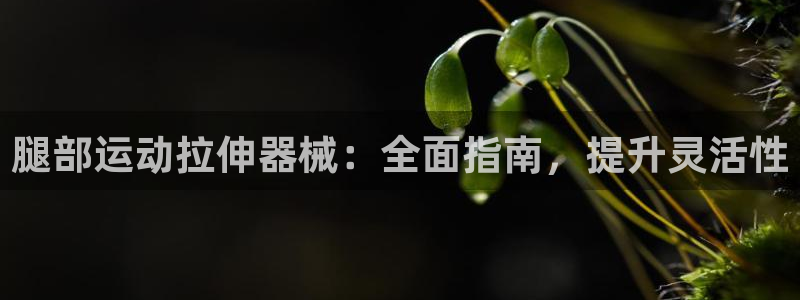 尊龙凯时有假么：腿部运动拉伸器械：全面指南，提升灵活