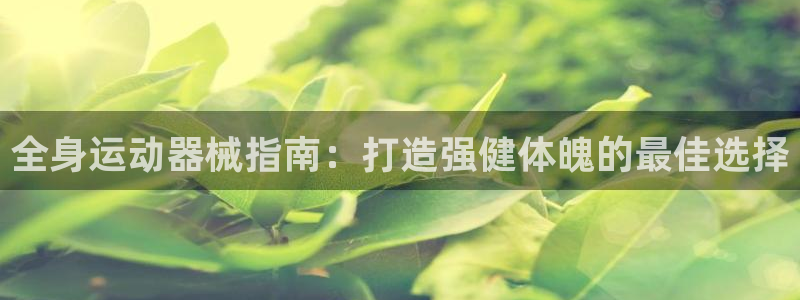 尊龙凯时d3563：全身运动器械指南：打造强健体魄的