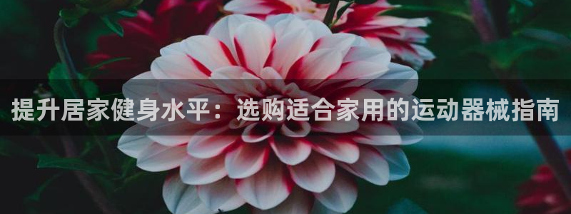 尊龙ag旗舰：提升居家健身水平：选购适合家用的运动器