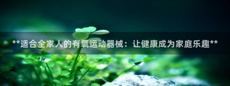 尊龙凯时官网版登录：**适合全家人的有氧运动器械：让