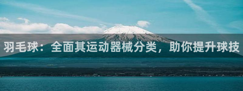 尊龙目前照片：羽毛球：全面其运动器械分类，助你提升球